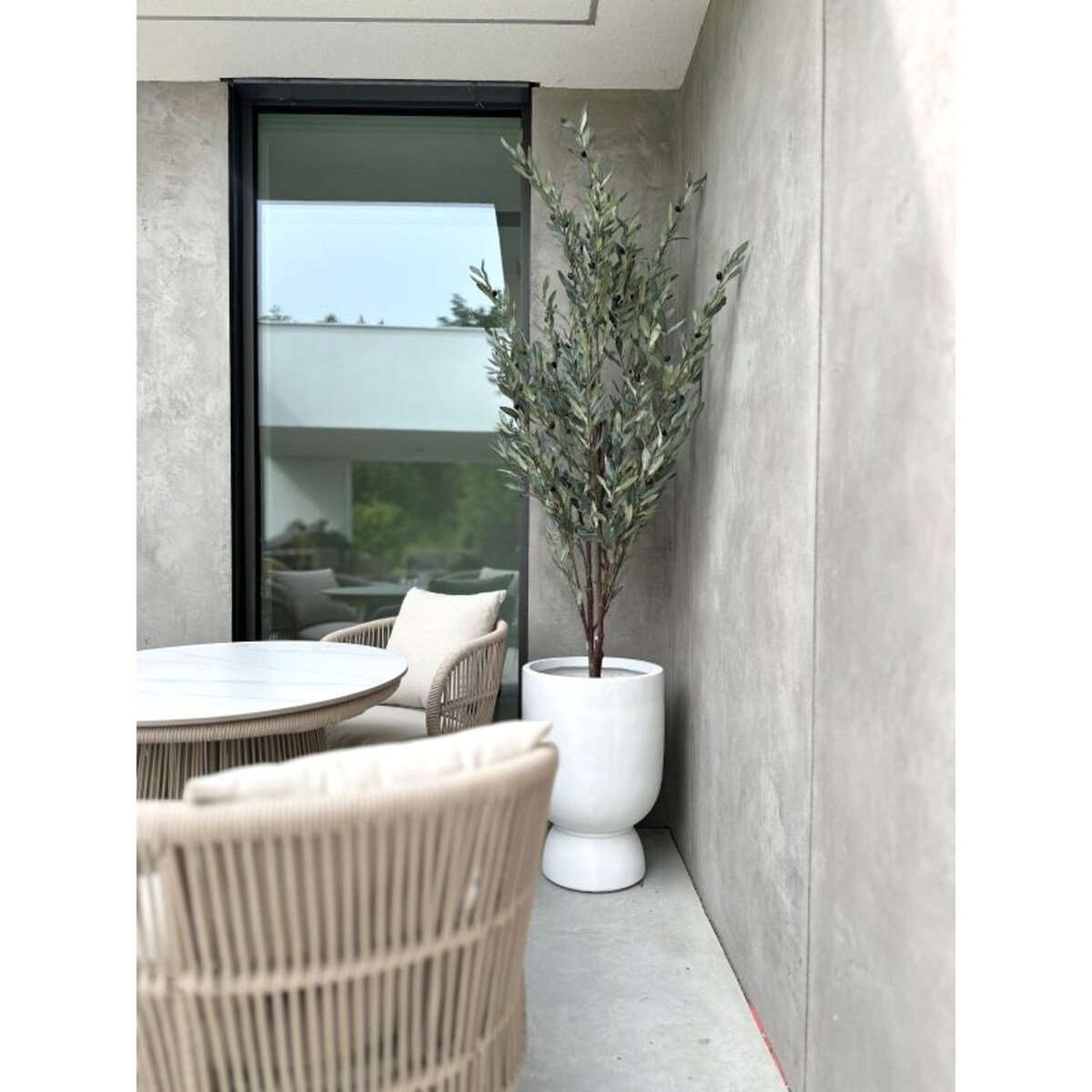 ZESTAW DRZEWEK OLIWNYCH SZARYCH