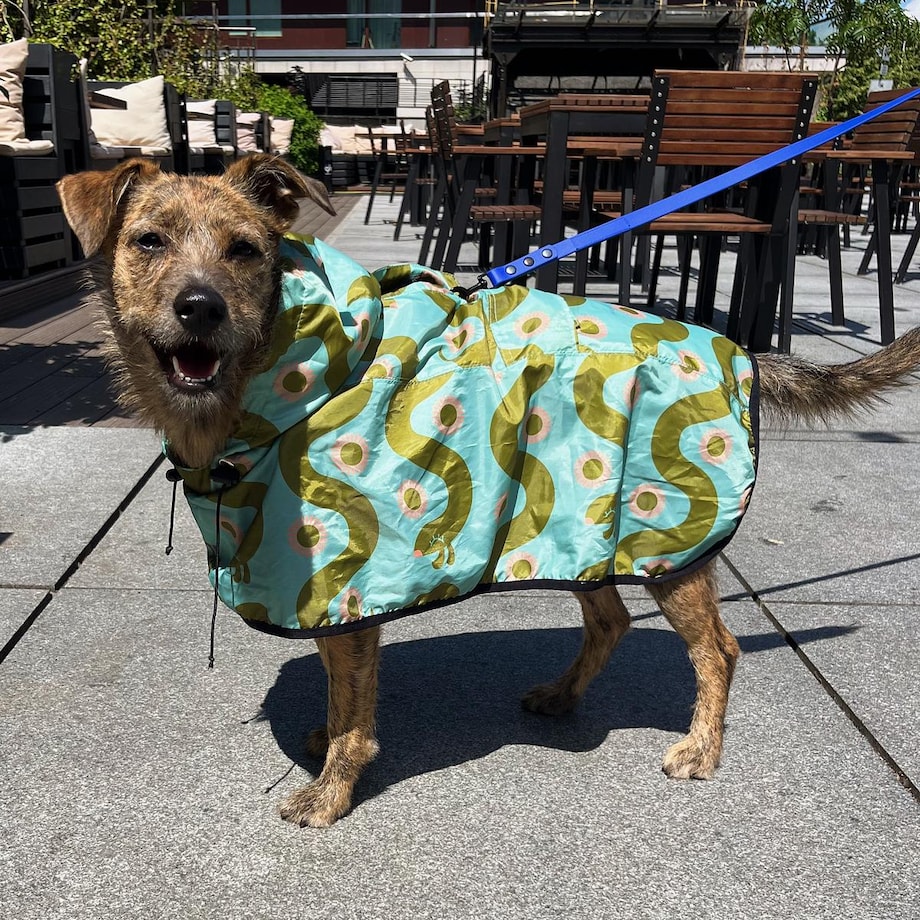 Płaszcz przeciwdeszczowy dla psa Piesss - Rozmiar: XL