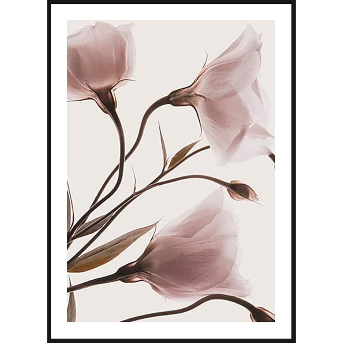Poster Story, Plakat, Obraz - Różowe Pastelowe Kwiaty No1, wymiary 30 x 42 cm