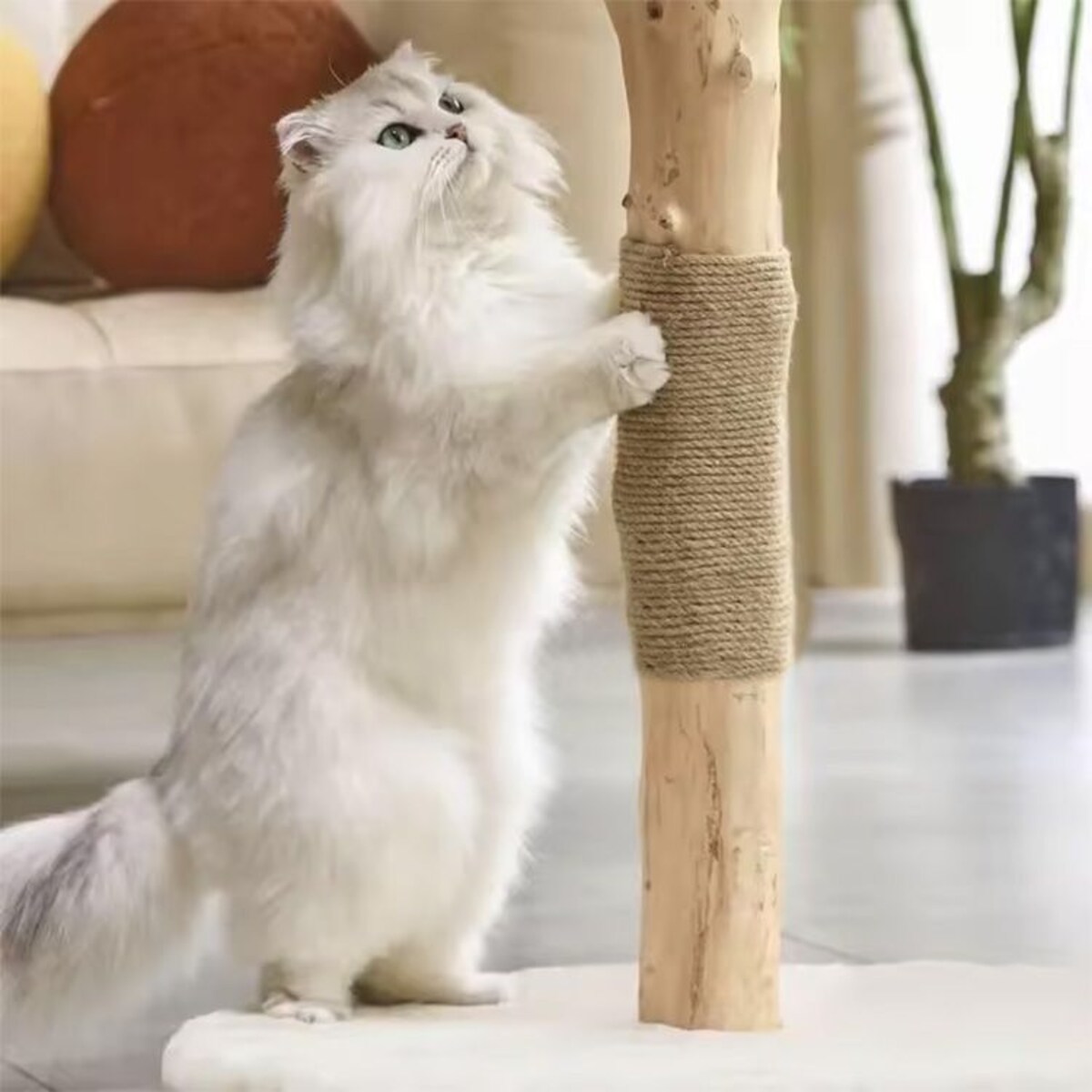 DRAPAK DLA KOTÓW P70386