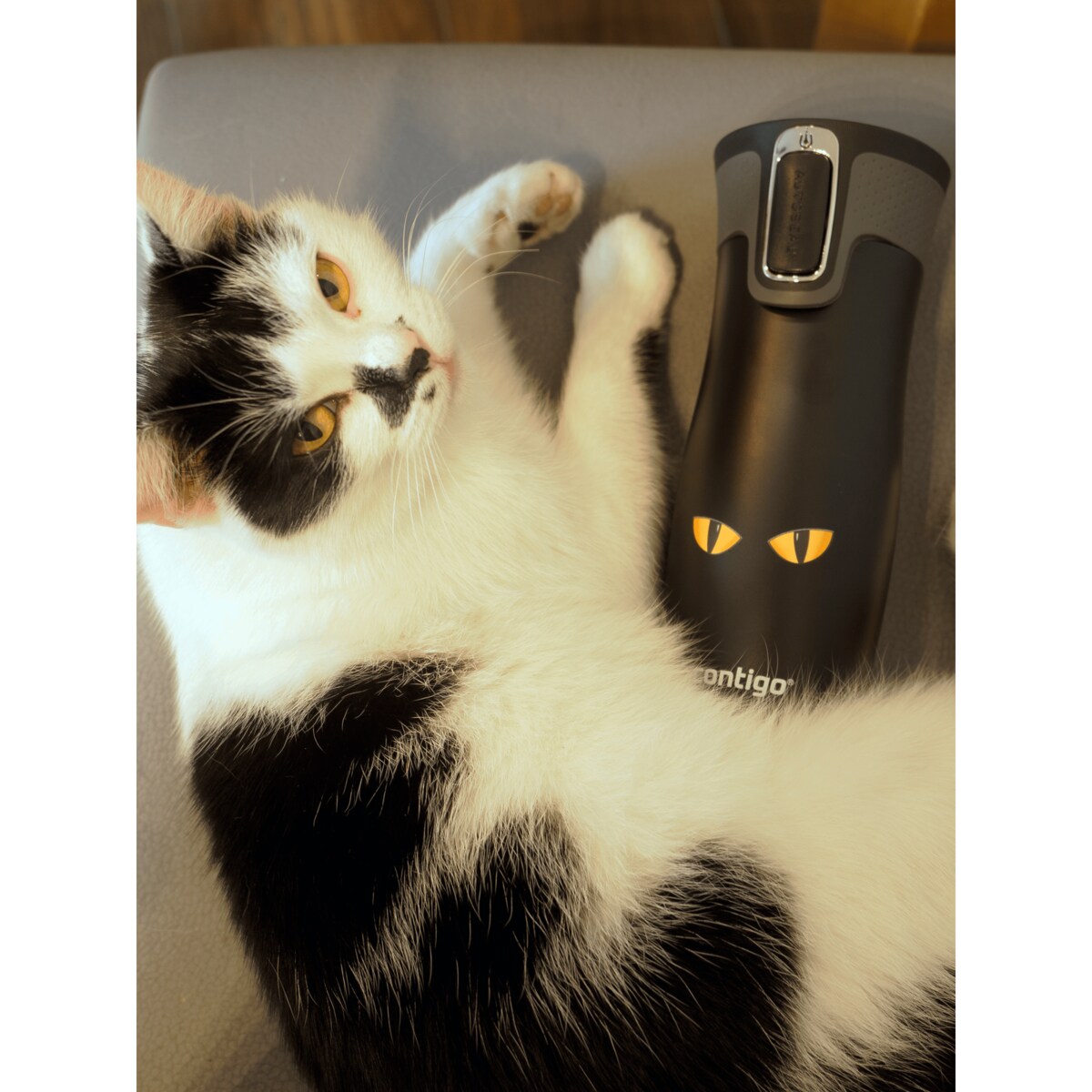 Kubek termiczny Contigo West Loop 2.0 470 ml - „Cat Eyes”
