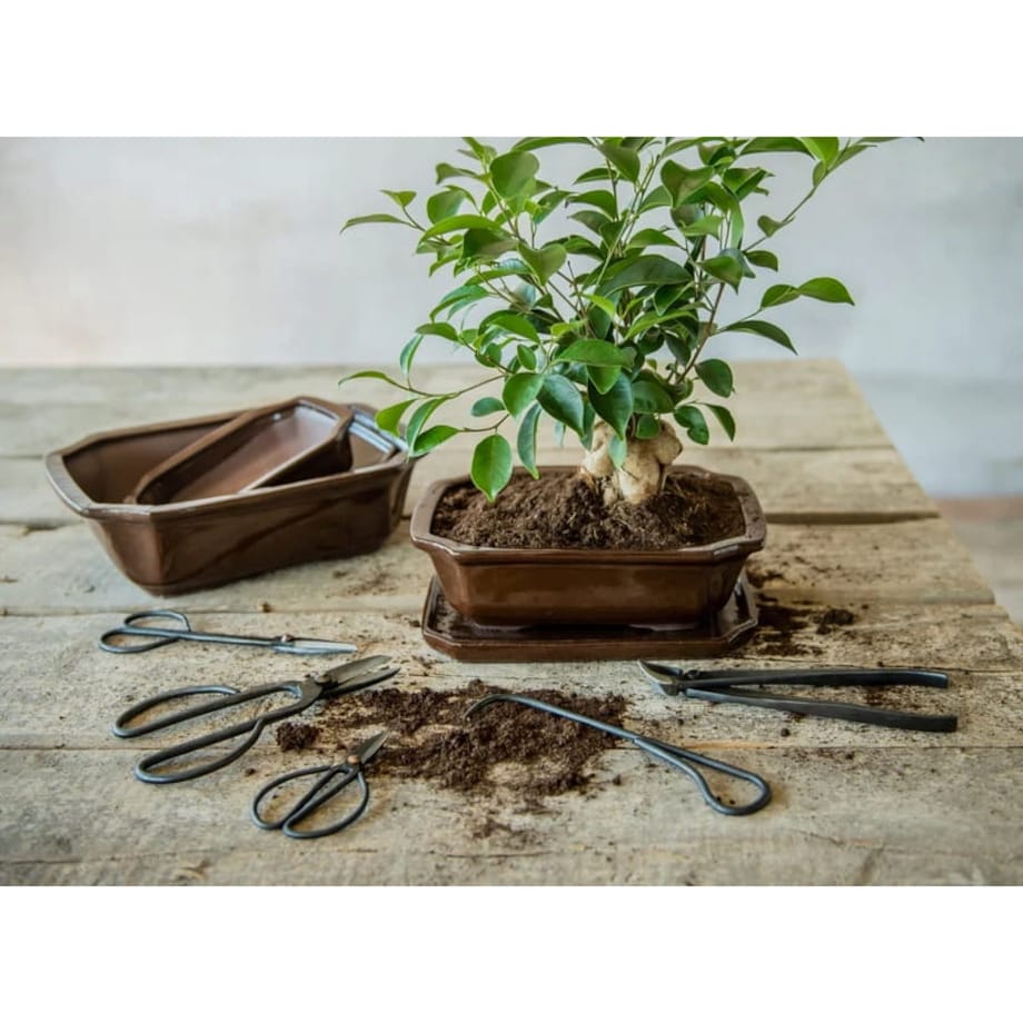 Doniczka Bonsai prostokątna S ceramiczna brązowa komplet