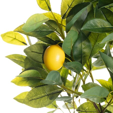 Drzewko Cytrynowe 146cm, 18 x 18 x 146 cm