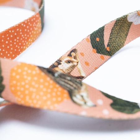 Smycz miejska dla psa lub kota "Wie wiórka co dobre" - Szerokość taśmy: 20mm, Rozmiar: M oraz Rodzaj: Mały karabinek