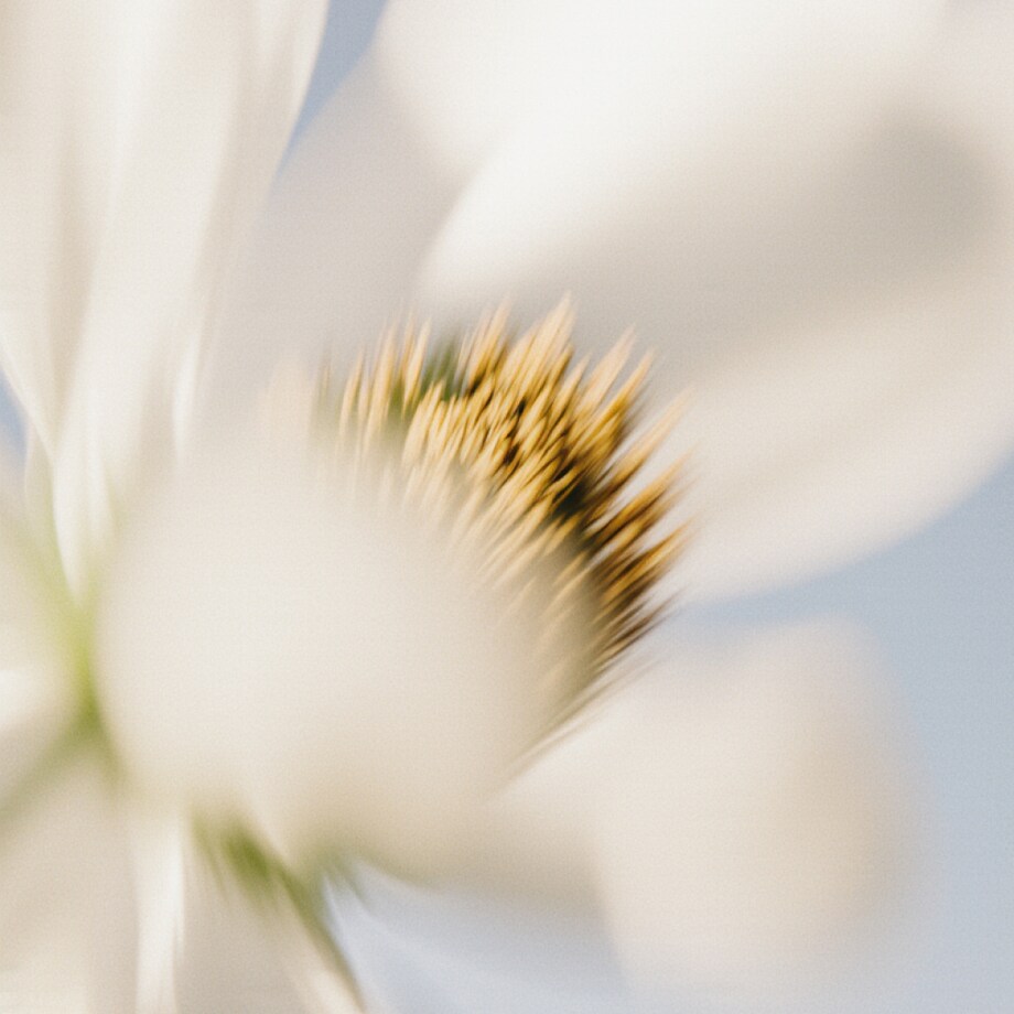 Côte Blanche 10ml - zapach do mini dyfuzora