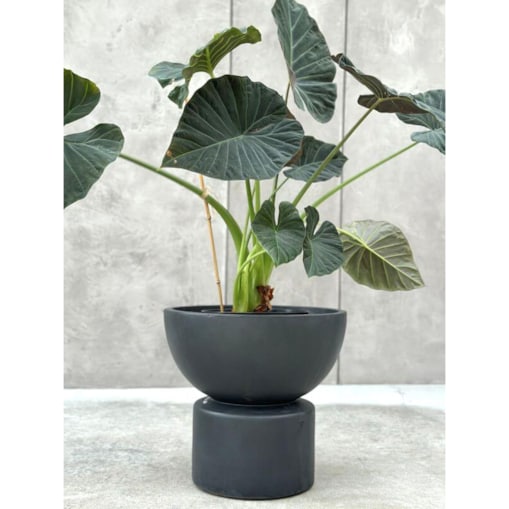 Doniczka MARTISO EDGE