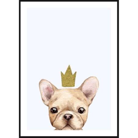Poster Story, Plakat, Obraz - Buldog Francuski w Złotej Koronie, wymiary 50 x 70 cm