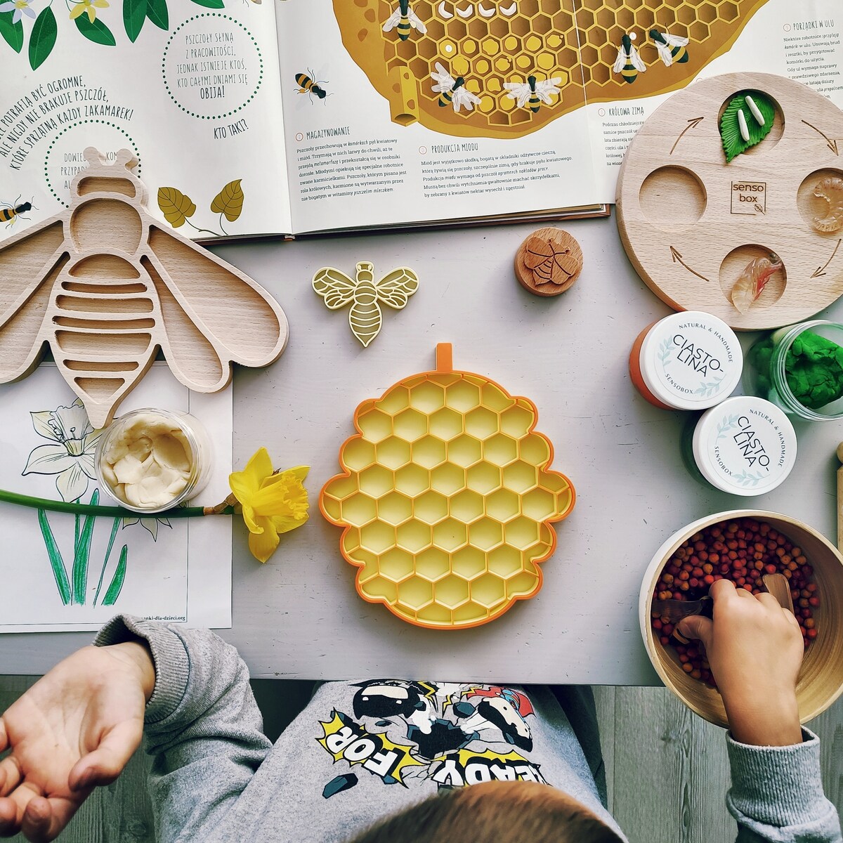 Eko panel sensoryczny UL