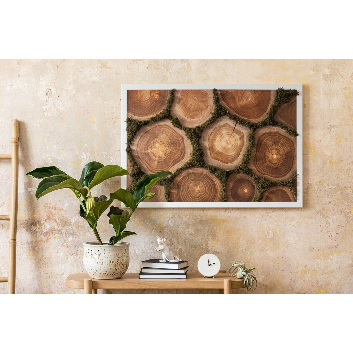 Obraz Przekrój pnia - mech chrobotek w białej ramie 60x40cm