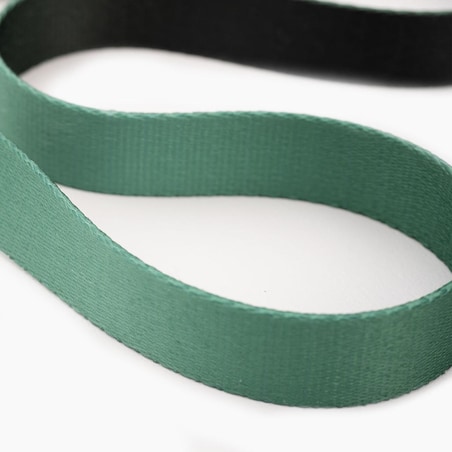 Smycz miejska dla psa lub kota "Under my ombrella" ZIELEŃ - Szerokość taśmy: 20mm, Rozmiar: M oraz Rodzaj: Mały karabinek