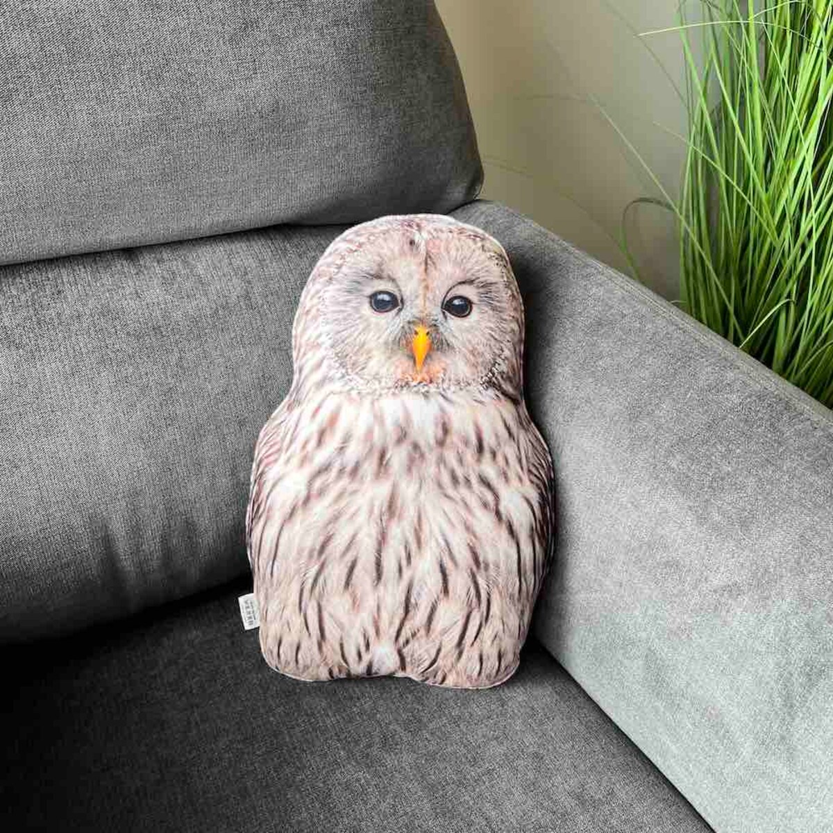 Poduszka mała Sowa Puszczyk uralski