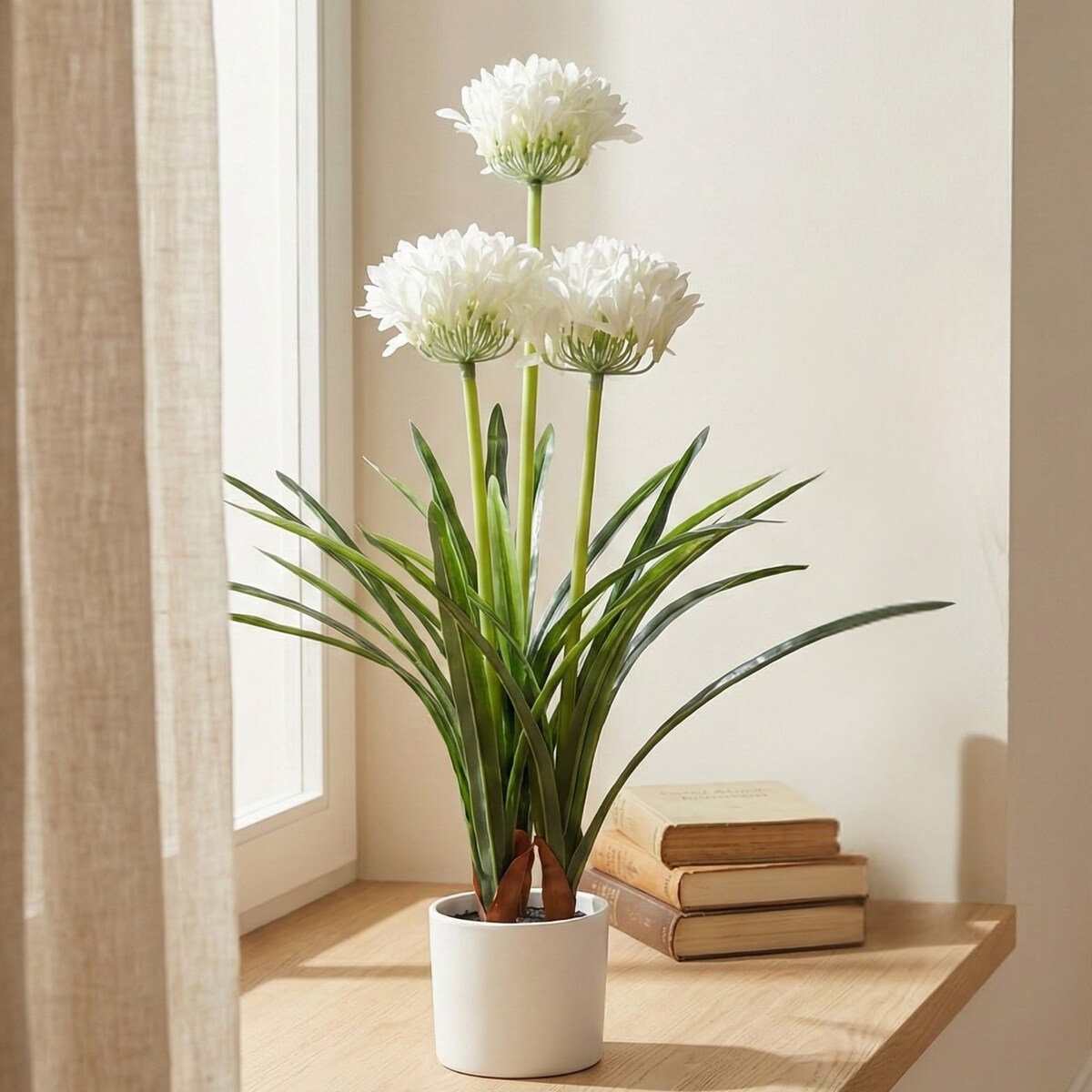 Sztuczny kwiat w doniczce Agapant, 50 x 80 cm