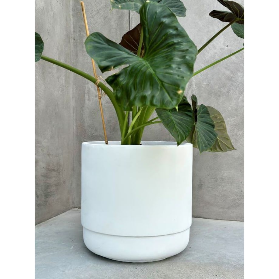 DONICZKA SANTIAGO WHITE L