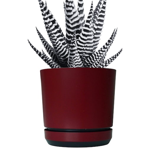 14 Doniczka z podstawką wzór BORDOWY nowoczesna z połyskiem elegancka pół mat