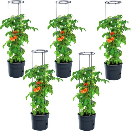 Doniczka Na Pomidory Do Uprawy Pomidorów Tomato Grower Zestaw 5 Szt
