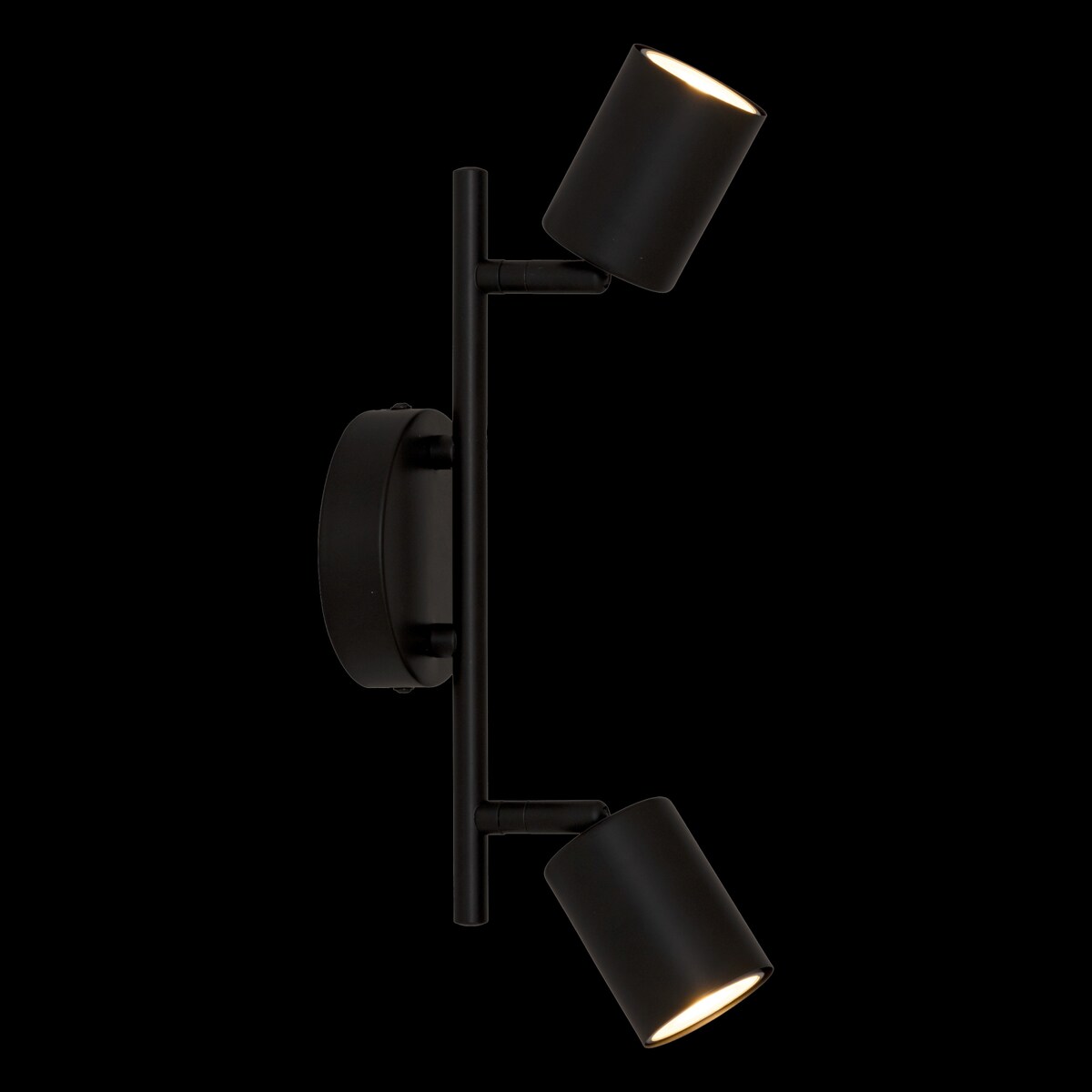 Lampy sufitowe VICO, metalowe klosze, 2 punktowe