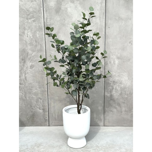 DRZEWKO EUKALIPTUSOWE 150 cm