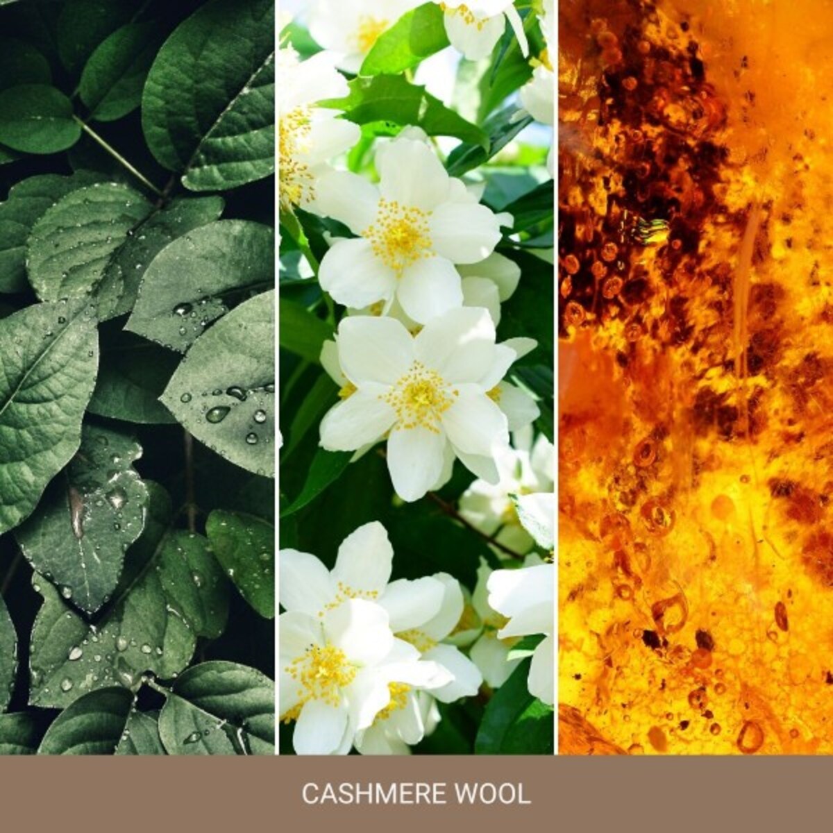 Natures Wick świeca średnia CASHMERE WOOL