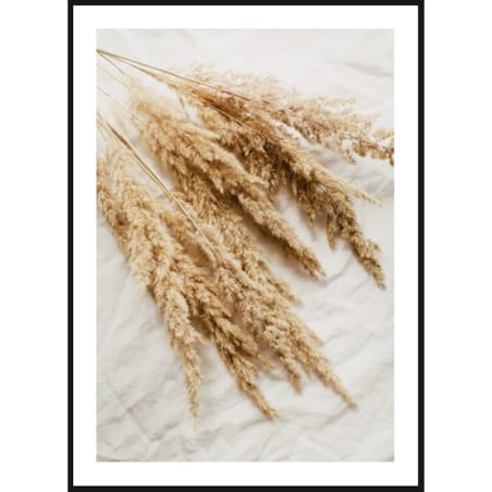 Poster Story, Plakat, Obraz - Suche Trawy Trzciny, wymiary 70 x 100 cm