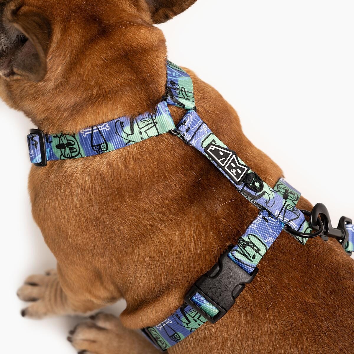 Szelki dla psa lub kota typu guard "Spacer albo psikus" - Szerokość taśmy: 15mm, Rozmiar: XXS