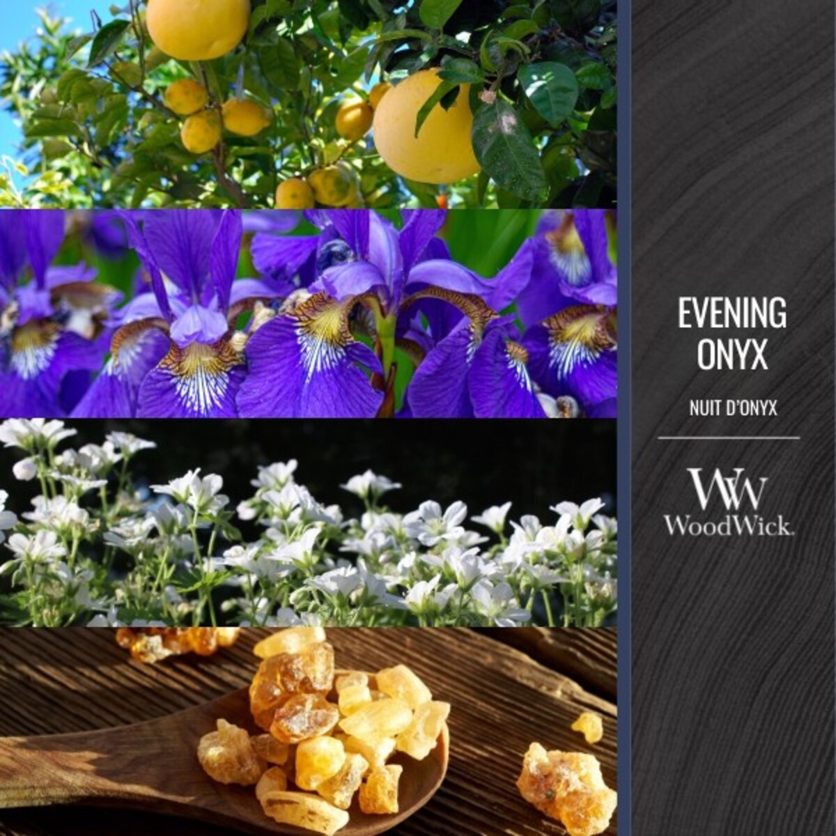 WoodWick świeca średnia EVENING ONYX