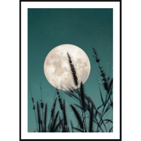 Poster Story, Plakat, Obraz - Pełnia Koźlego Księżyca, wymiary 30 x 42 cm