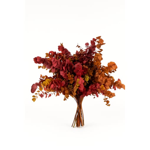 Zestaw eukaliptusów stabilizowanych – bukiet 150 g Wysokość ok. 60 cm