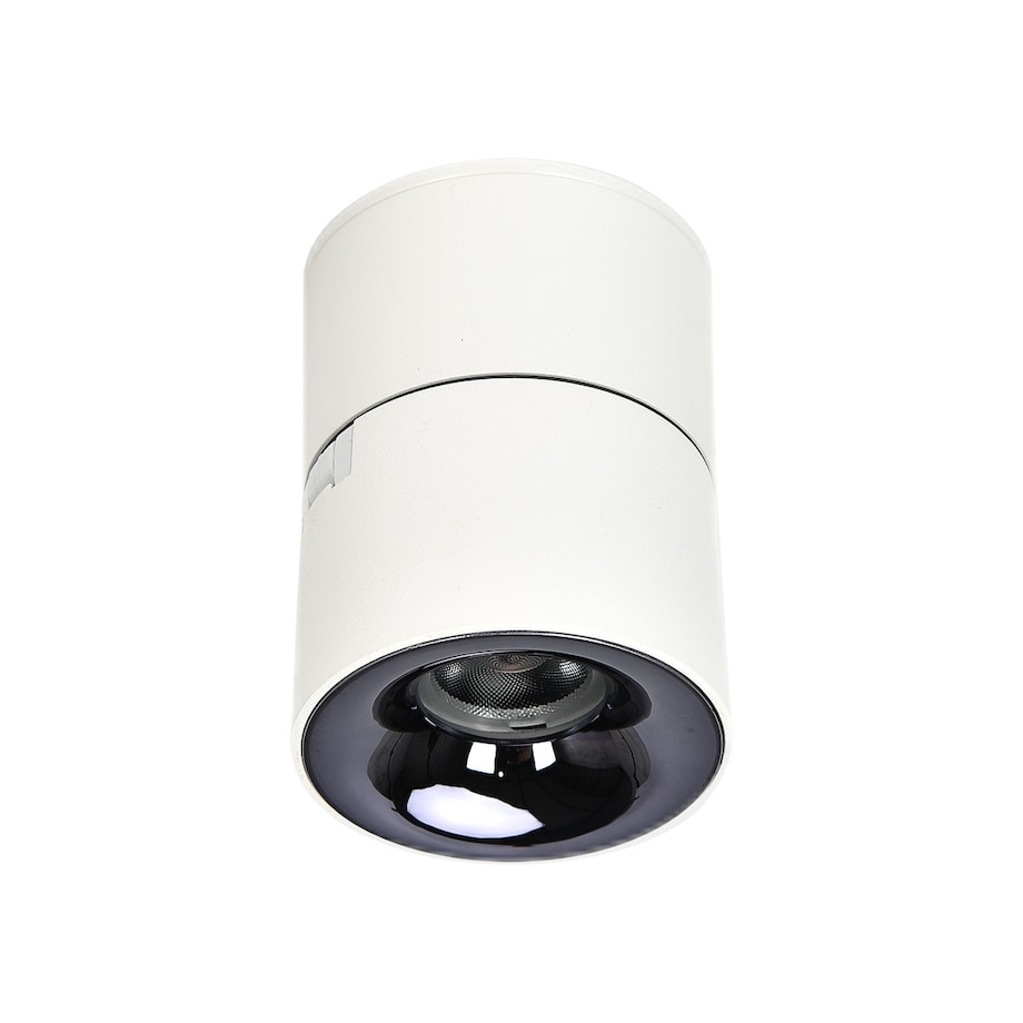 Oprawa natynkowa Light Prestige Brema biały LED CCT 3000K/4000K/6000K (regulowana) 1 szt.