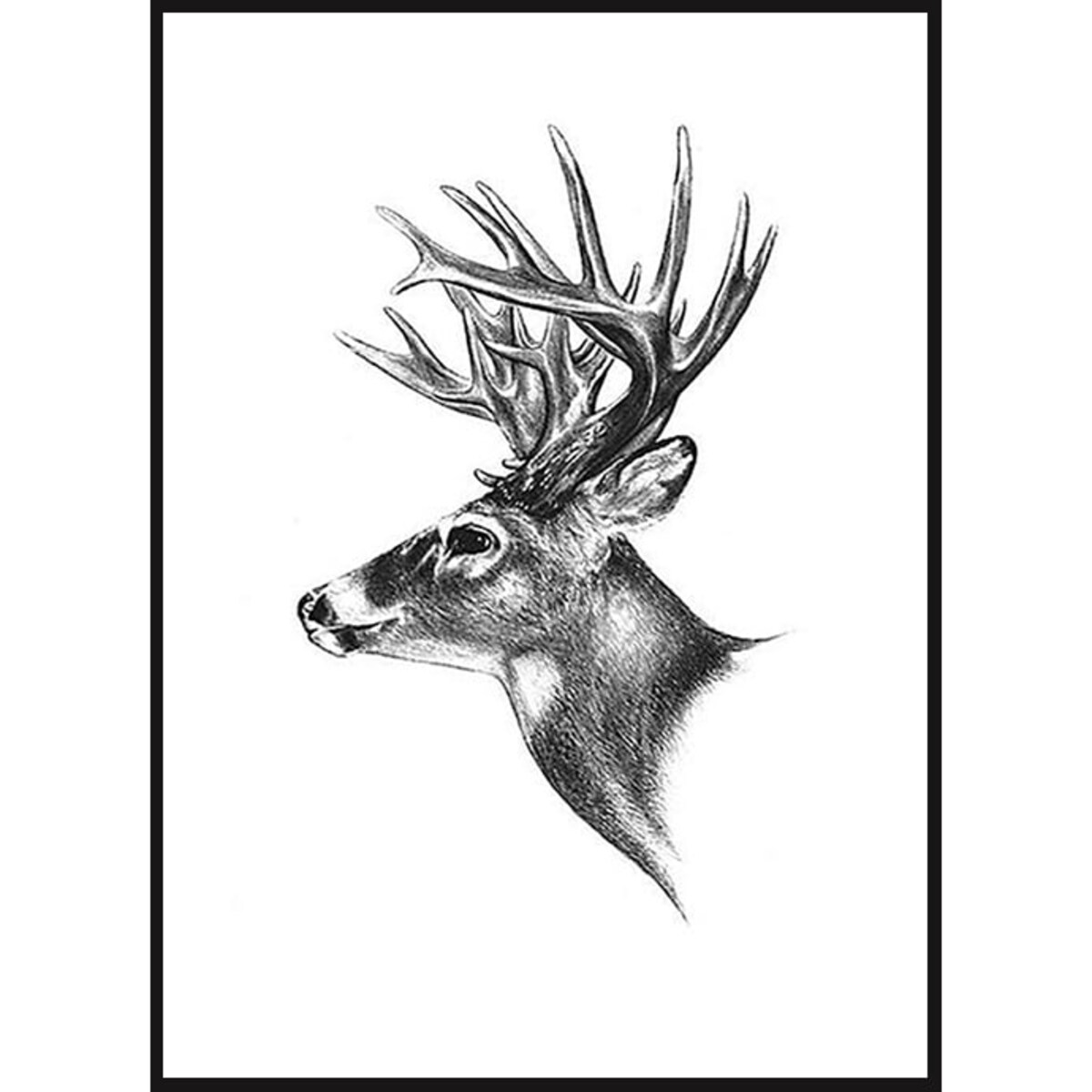 Poster Story, Plakat, Obraz - Renifer w Akwareli, wymiary 70 x 100 cm