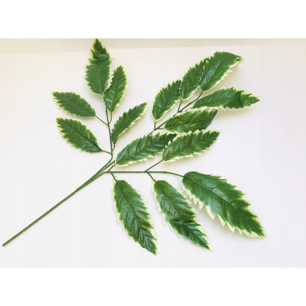 LIŚCIE DO stroika bukietu wiązanki gałązka zielona dodatek na łodydze