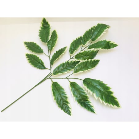 LIŚCIE DO stroika bukietu wiązanki gałązka zielona dodatek na łodydze