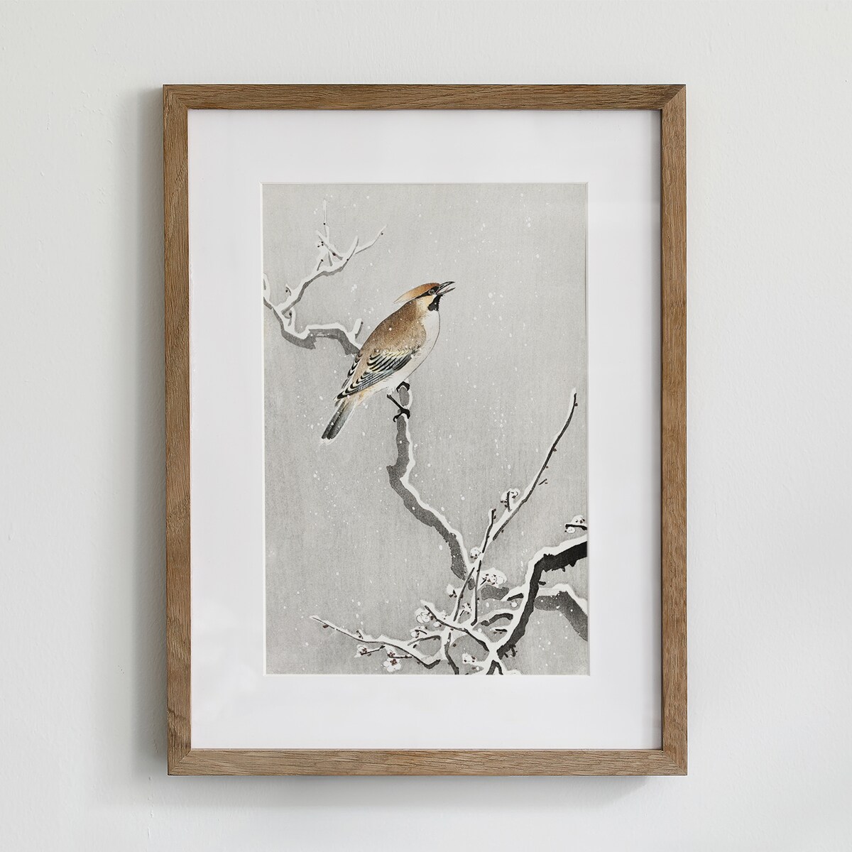 Plakat Jemiołuszka Na Śnieżnej Gałęzi 21x30cm