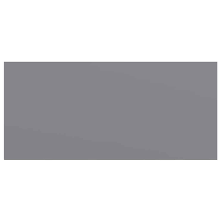 vidaXL Półka ścienna, szara, 50 x 23 x 3,8 cm, MDF