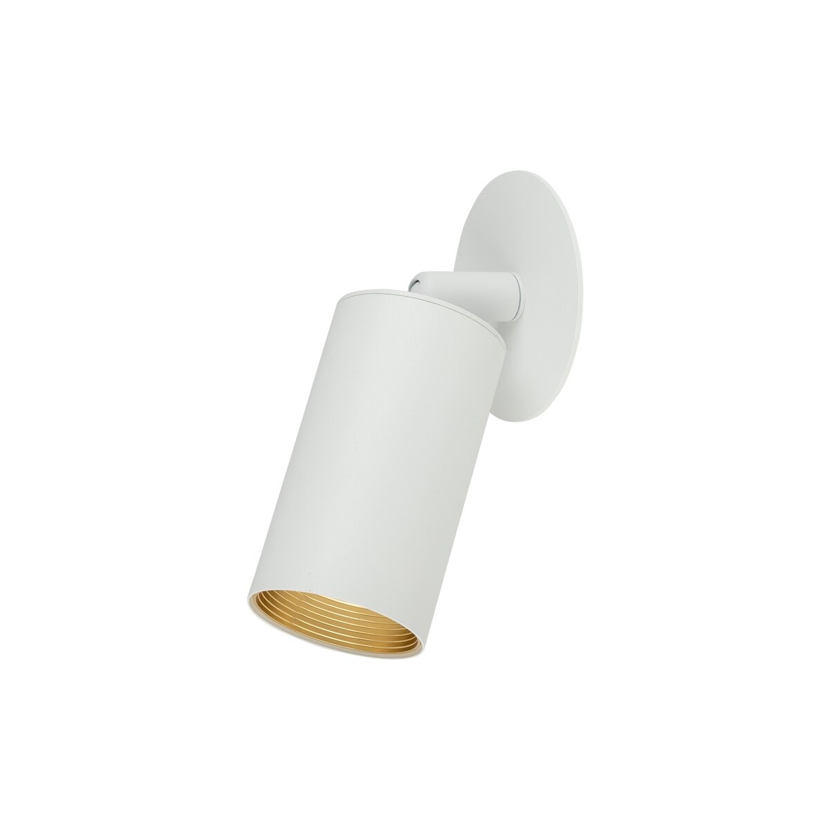 Lampa spot podtynkowa TK Lighting AMIS WHITE 10810 GU10 biała ze złotym akcentem regulowany reflektor sufitowy
