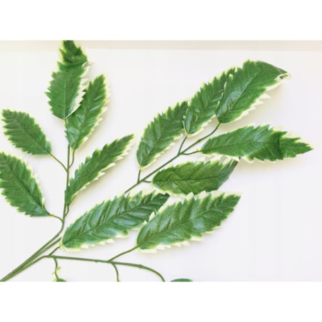 LIŚCIE DO stroika bukietu wiązanki gałązka zielona dodatek na łodydze