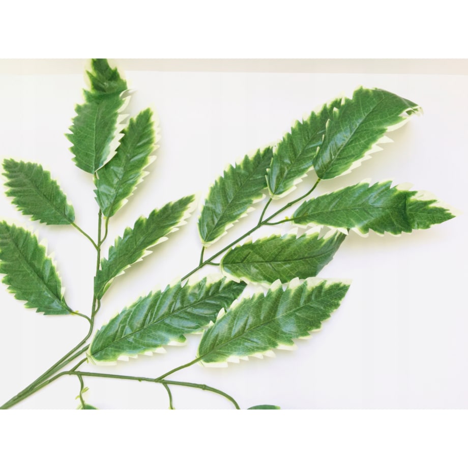 LIŚCIE DO stroika bukietu wiązanki gałązka zielona dodatek na łodydze