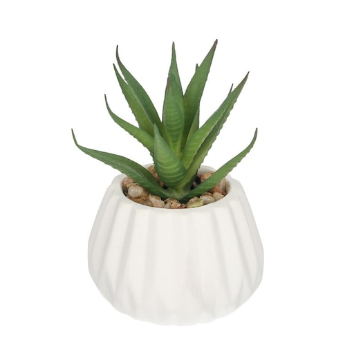 Dekoracja Agawa 12cm, 8 x 8 x 12 cm