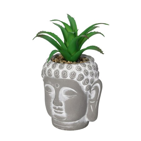 Dekoracja Aloe Buddha 17cm, 10 x 10 0x 17 cm