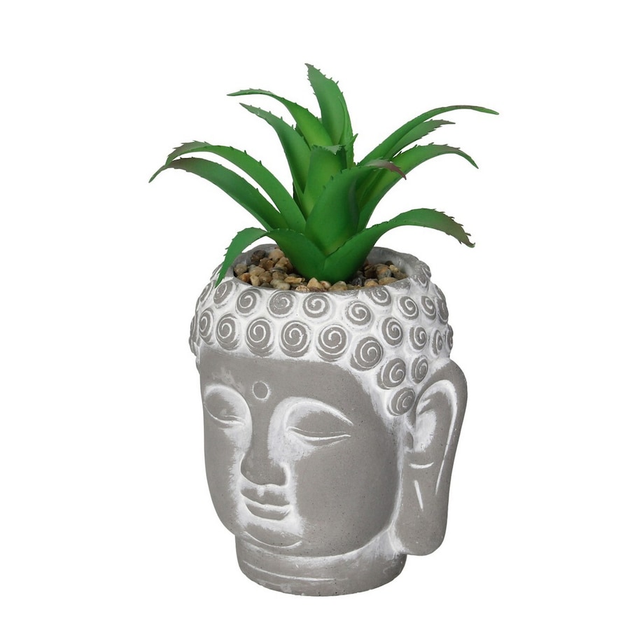 Dekoracja Aloe Buddha 17cm, 10 x 10 0x 17 cm