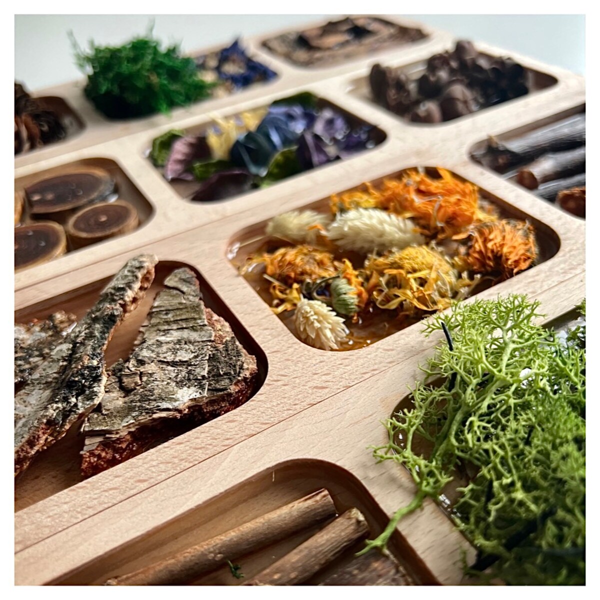 Dyski sensoryczne LEŚNA ŚCIEŻKA