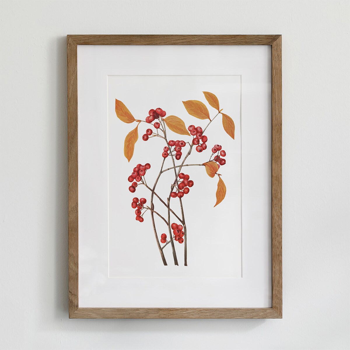 Plakat aronia czerwona 21x30cm