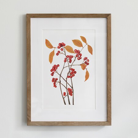 Plakat aronia czerwona 21x30cm