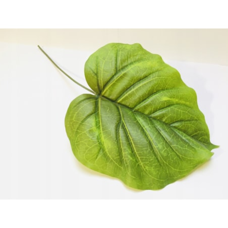 DUŻY LIŚĆ zielony gumowany realistyczny do stroika wiązanki bukiet łodyga