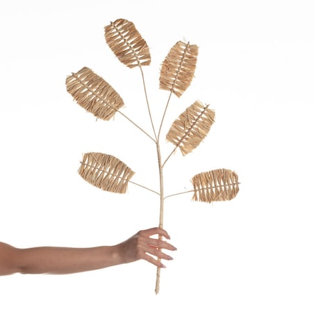 Dekoracja Trawa Naturalna 75cm, 45 x 3 x 75 cm