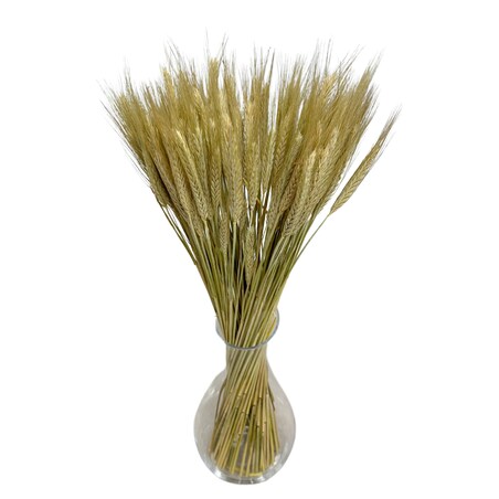 Suszone Pszenżyto Naturalne