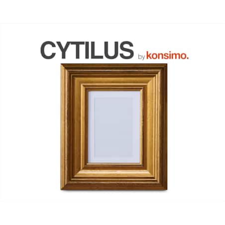 Konsimo CYTILUS Ramka, złoty