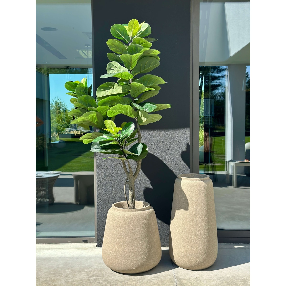 DUŻY FIKUS XXL - DEKORACJA INSPIROWANA NATURĄ