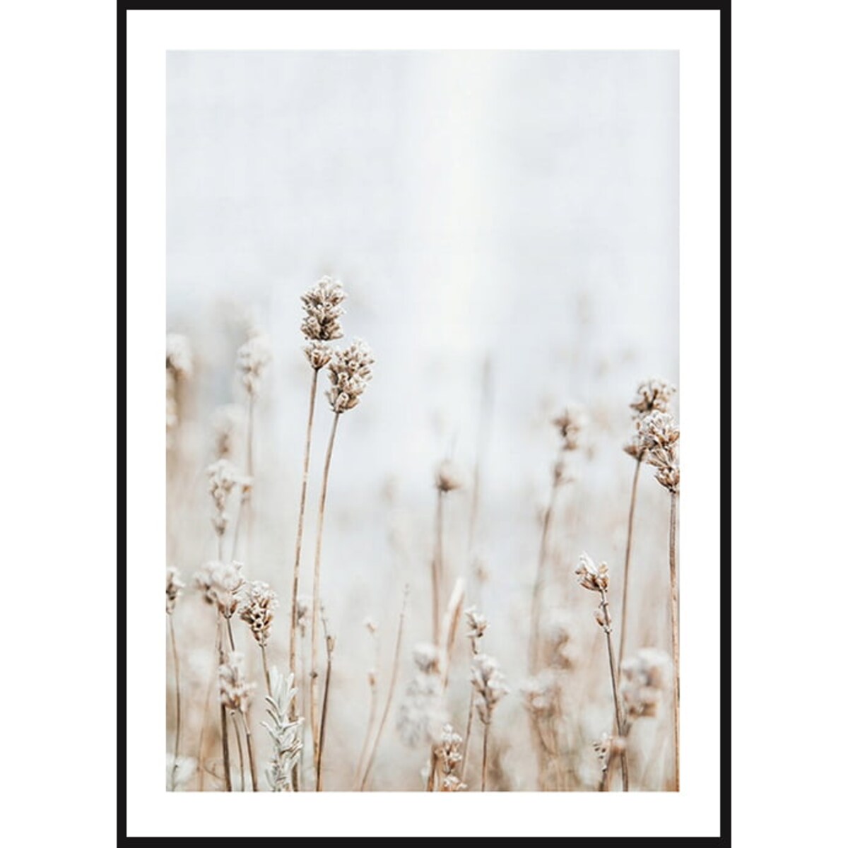 Poster Story, Plakat, Obraz - Delikatne Polne Kwiatki, wymiary 42 x 60 cm