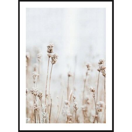 Poster Story, Plakat, Obraz - Delikatne Polne Kwiatki, wymiary 42 x 60 cm