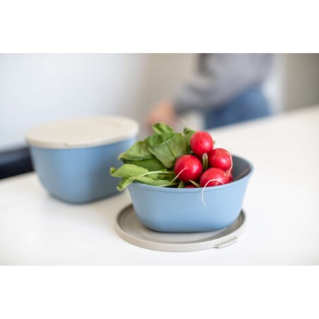 Pojemnik na żywność CONCEPT, hermetyczny, 1 l, KOZIOL